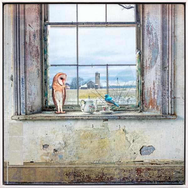 The Window, 36"x36" Artwork Morgan Jones