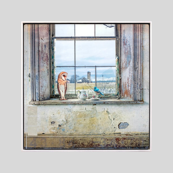The Window, 36"x36" Artwork Morgan Jones