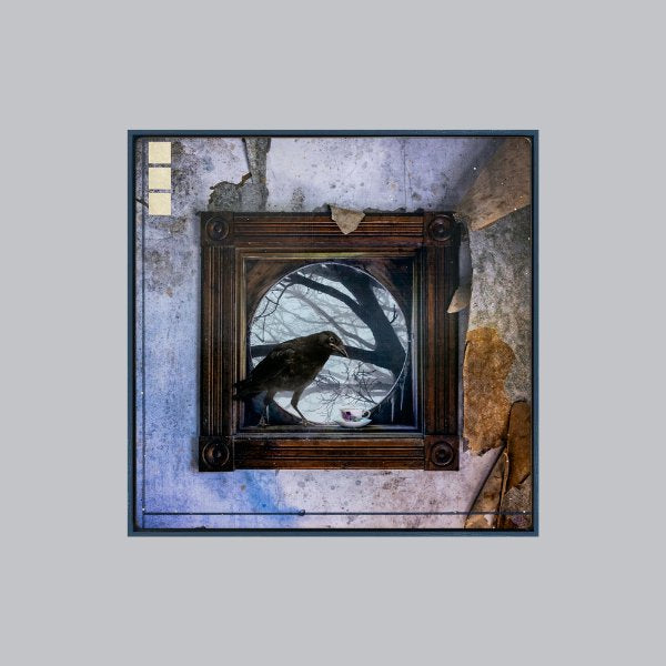 A Spot of Tea, 28" x 28" Photograph Morgan Jones