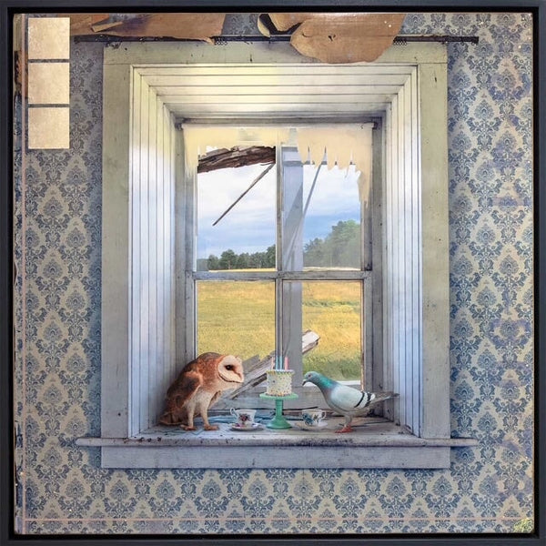 Conspiracy, 38" x 38" Photograph Morgan Jones