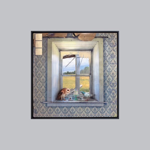 Conspiracy, 38" x 38" Photograph Morgan Jones