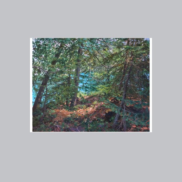 From the Studio, 48" x 61" Painting Hew Elcock