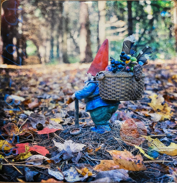 Gather, 8" x 8" Photograph Morgan Jones