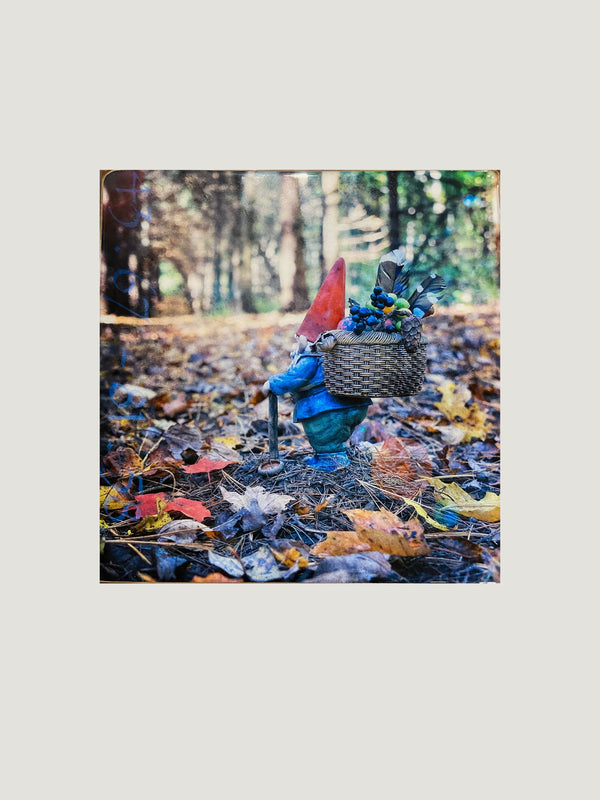 Gather, 8" x 8" Photograph Morgan Jones