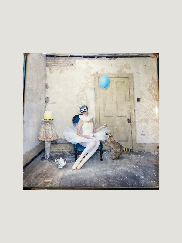 Let Them Eat Cake, 8"x 8" Artwork Morgan Jones