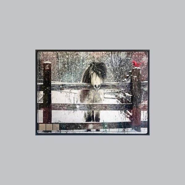 Morning Hair, 44" x60" Photograph Morgan Jones