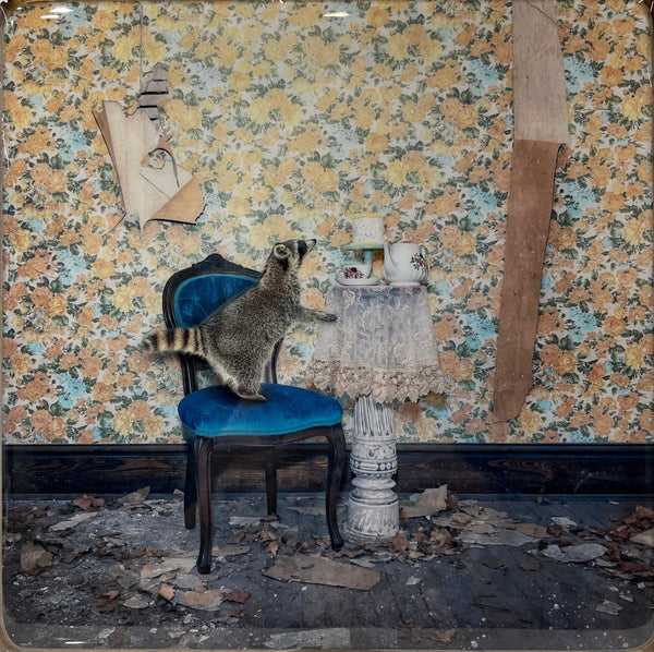 The Cake Heist, 8" x 8" Photograph Morgan Jones