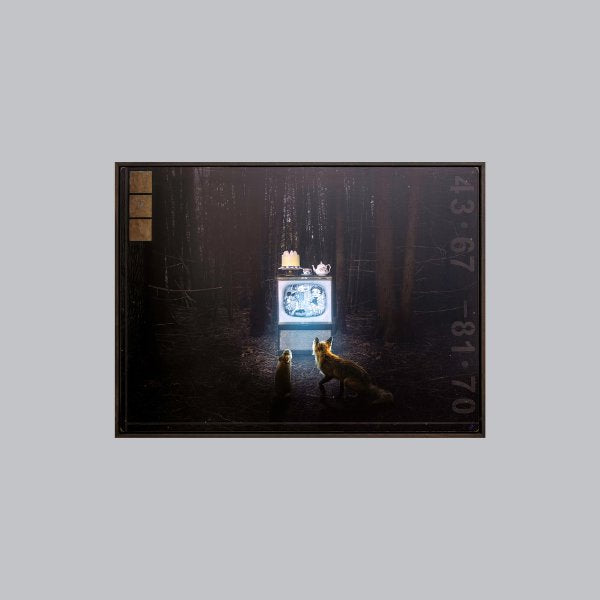 The Looking Glass, 36" x48" Photograph Morgan Jones