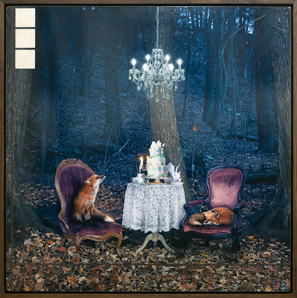 Twilight Jubilee, 38" x 38" Photograph Morgan Jones