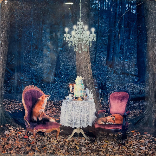 Twilight Jubilee, 8" x 8" Photograph Morgan Jones