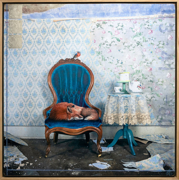 While You Were Sleeping, 38" x38" Photograph Morgan Jones