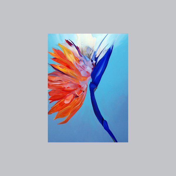 Winged, 36" x 48" Artwork Elle Belz