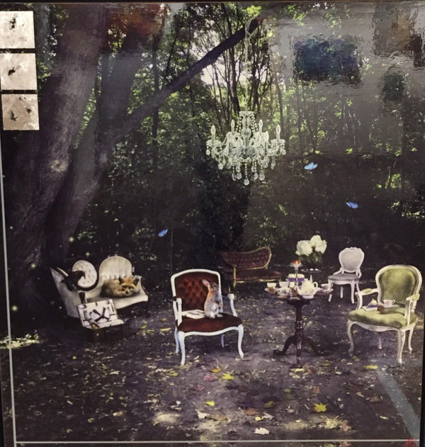 Afternoon Delight, 32" x 34" Photograph M. Jones