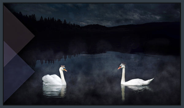 Midnight Rendezvous, 26" x 44" Photograph M. Jones