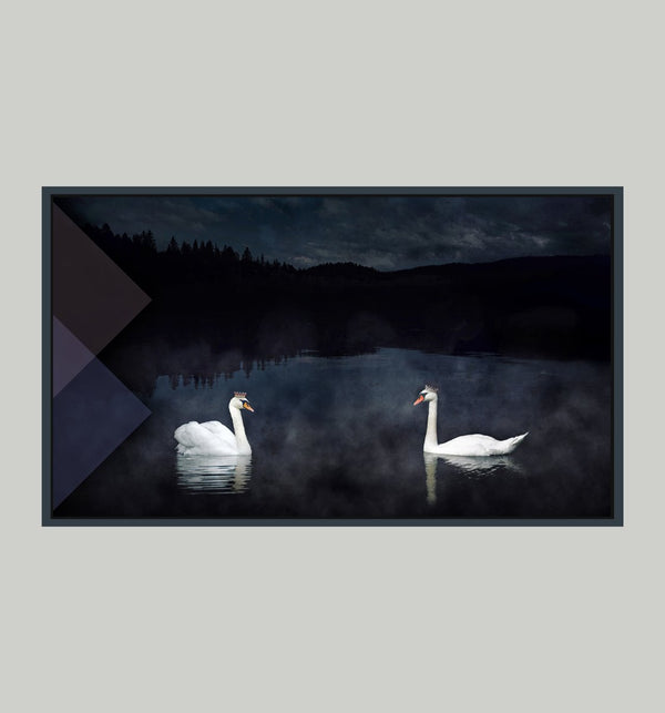 Midnight Rendezvous, 26" x 44" Photograph M. Jones