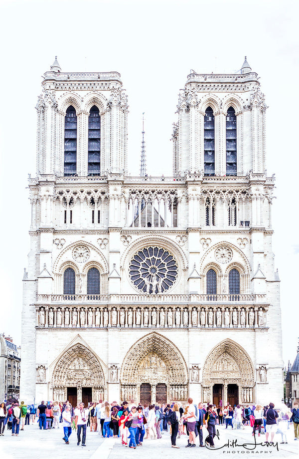 Notre Dame, 16" x 24" Photograph Edith Levy