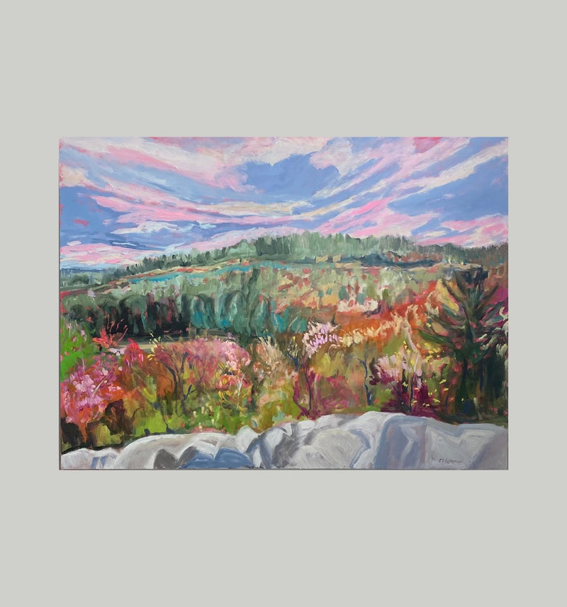 Rainbow Vista, 36" x 48" Painting Natasha Lehman