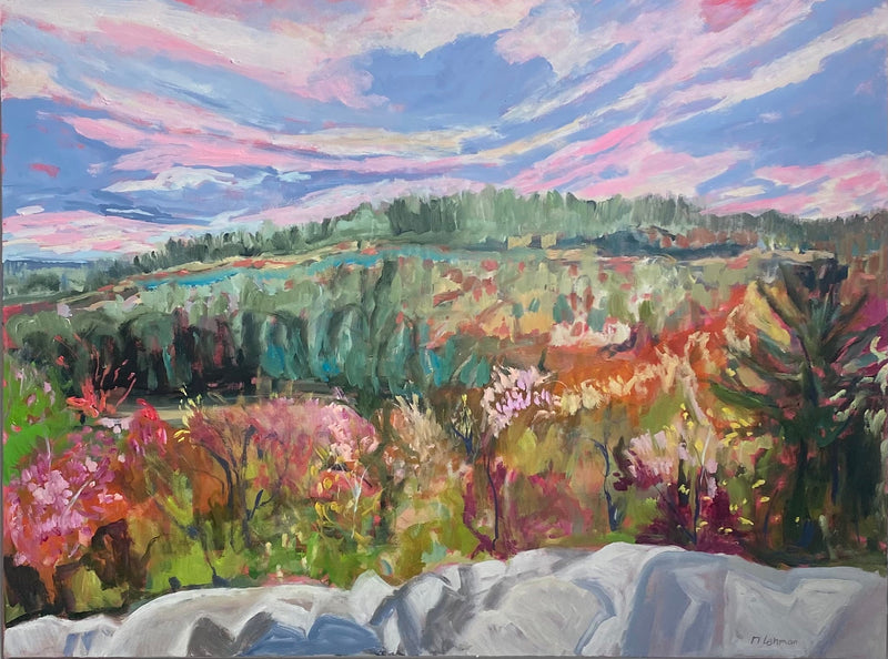 Rainbow Vista, 36" x 48" Painting Natasha Lehman